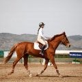 Torneo Nacional de Saltos Magdalena 2011