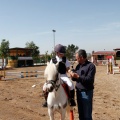 Torneo Nacional de Saltos Magdalena 2011