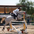 Torneo Nacional de Saltos Magdalena 2011