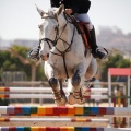 Torneo Nacional de Saltos Magdalena 2011