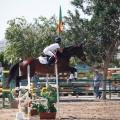 Torneo Nacional de Saltos Magdalena 2011