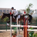 Torneo Nacional de Saltos Magdalena 2011