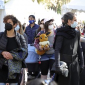 VI Festival de la Adopción de Castelló