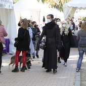 VI Festival de la Adopción de Castelló