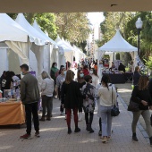 VI Festival de la Adopción de Castelló