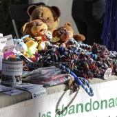 VI Festival de la Adopción de Castelló