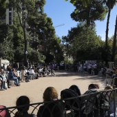 VI Festival de la Adopción de Castelló