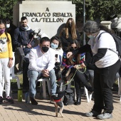 VI Festival de la Adopción de Castelló