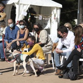 VI Festival de la Adopción de Castelló