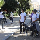 VI Festival de la Adopción de Castelló