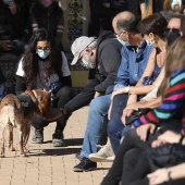 VI Festival de la Adopción de Castelló