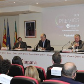 Premios Cámara Castellón 2020