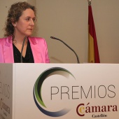 Premios Cámara Castellón 2020