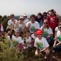 Repoblación forestal