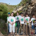 Repoblación forestal