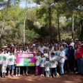 Repoblación forestal