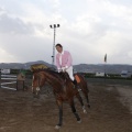 Poni club