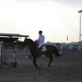 Poni club