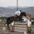Poni club