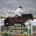 Poni club