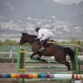 Poni club