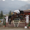 Poni club