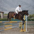 Poni club