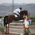 Poni club