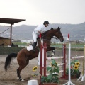 Poni club