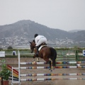 Poni club