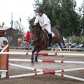Poni club