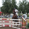 Poni club