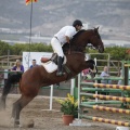 Poni club