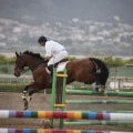 Poni club