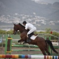 Poni club