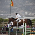 Poni club