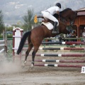 Poni club