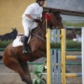 Poni club