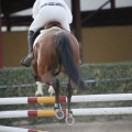 Poni club