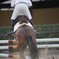 Poni club