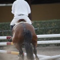 Poni club