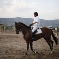Poni club