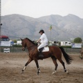 Poni club
