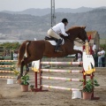 Poni club
