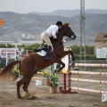 Poni club