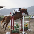 Poni club