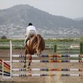 Poni club