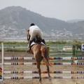 Poni club