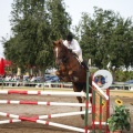 Poni club