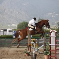 Poni club